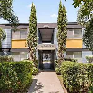 Avenida Apartment Tampa